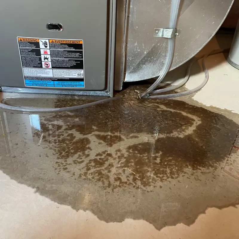 Appliance Leak Cleanup in Colfax, WA